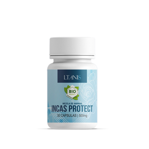 Incas protect - Perú