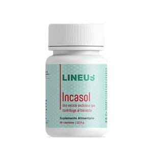 Incasol - Nicaragua