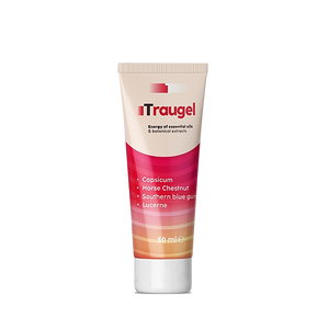 Traugel - Polska