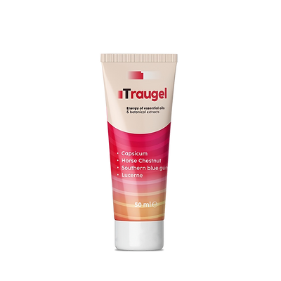 Traugel - România
